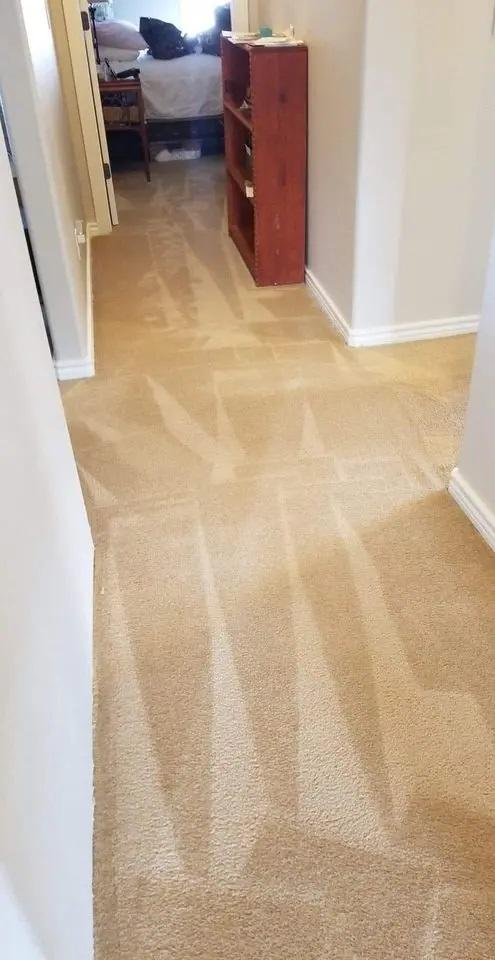 nicely cleaned carpet