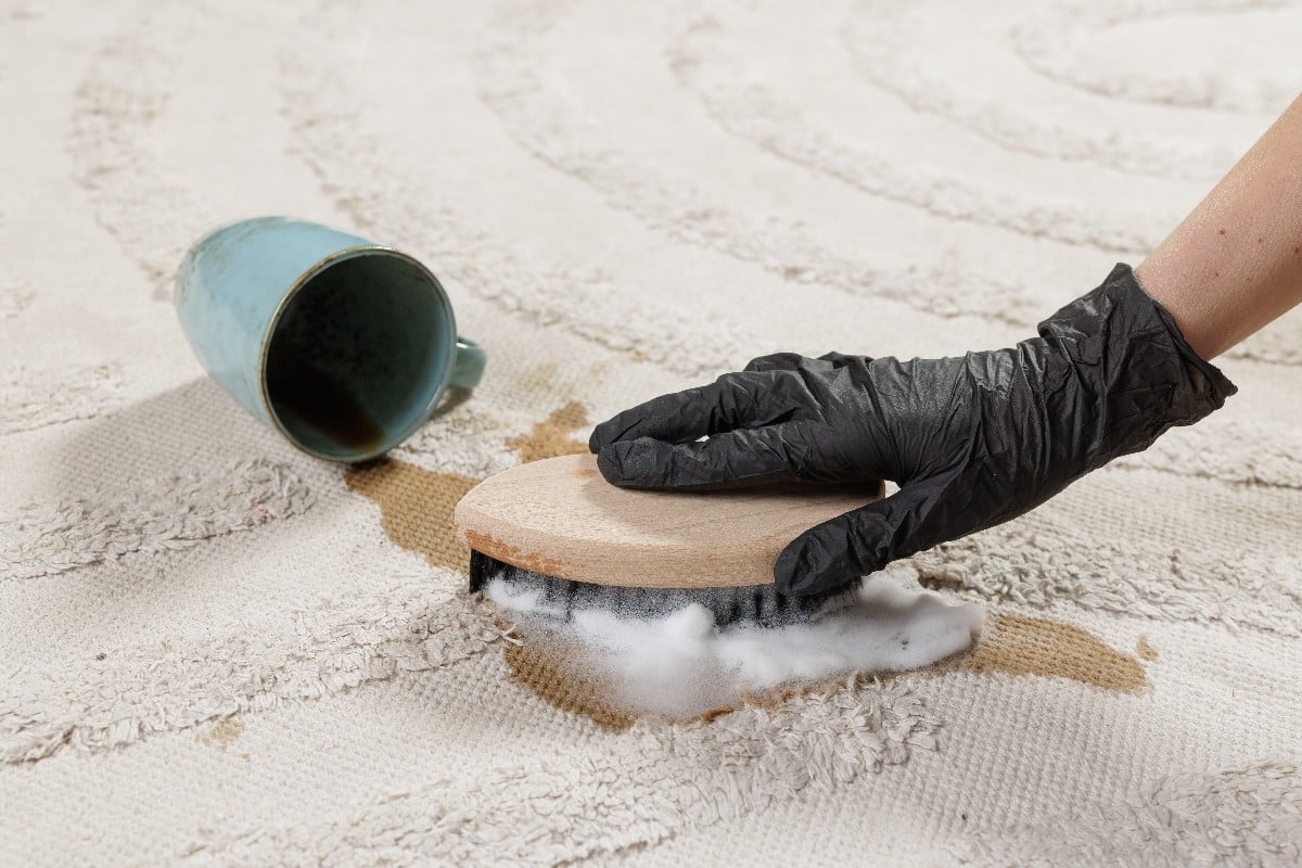 Spot Cleaning Dos and Don'ts | Performance Carpet Care